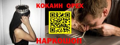МДПВ Новозыбков