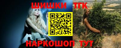 МДПВ Новозыбков