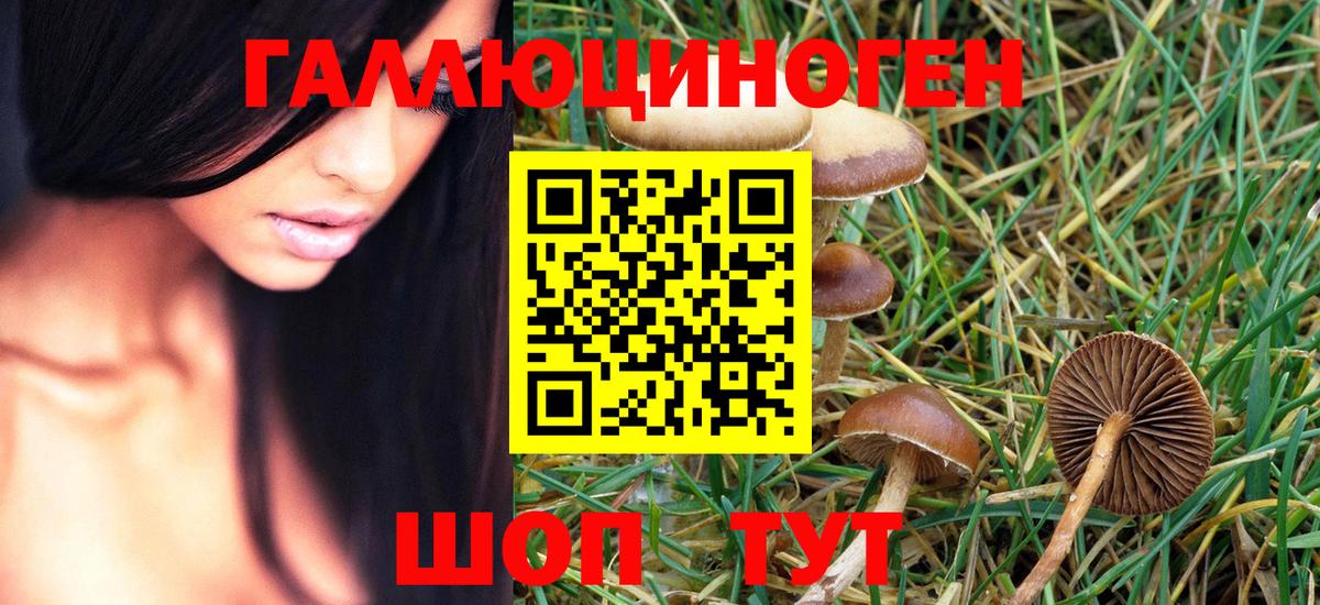 Чита  Галлюциногенные грибы Magic Shrooms  Вход с VPN 