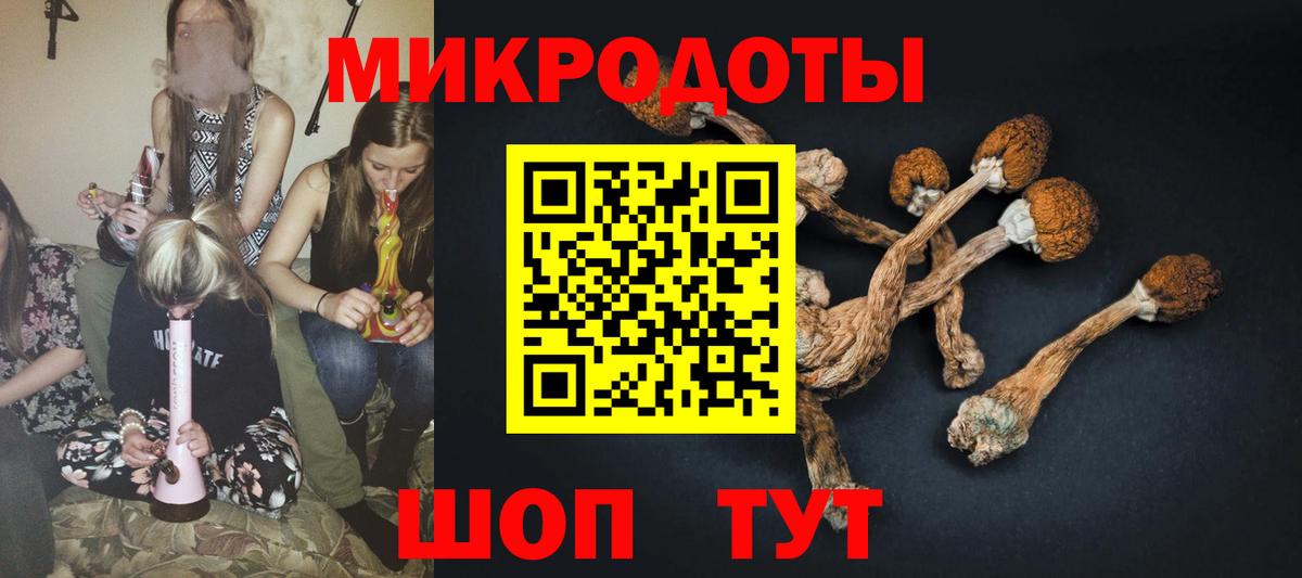 Псилоцибиновые грибы мицелий Чита